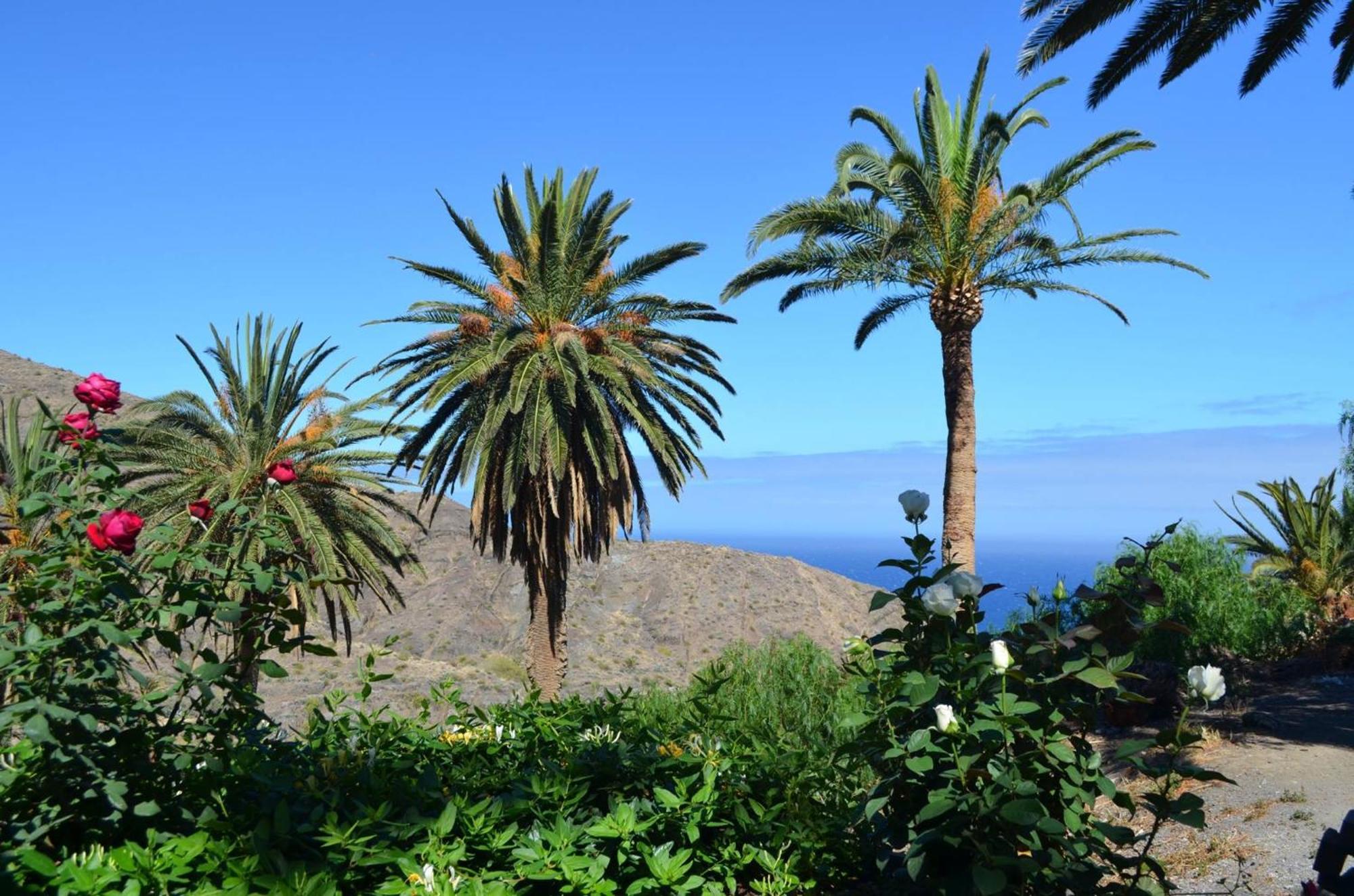 Finca Ossorio Casa Rita Vallehermoso Kültér fotó